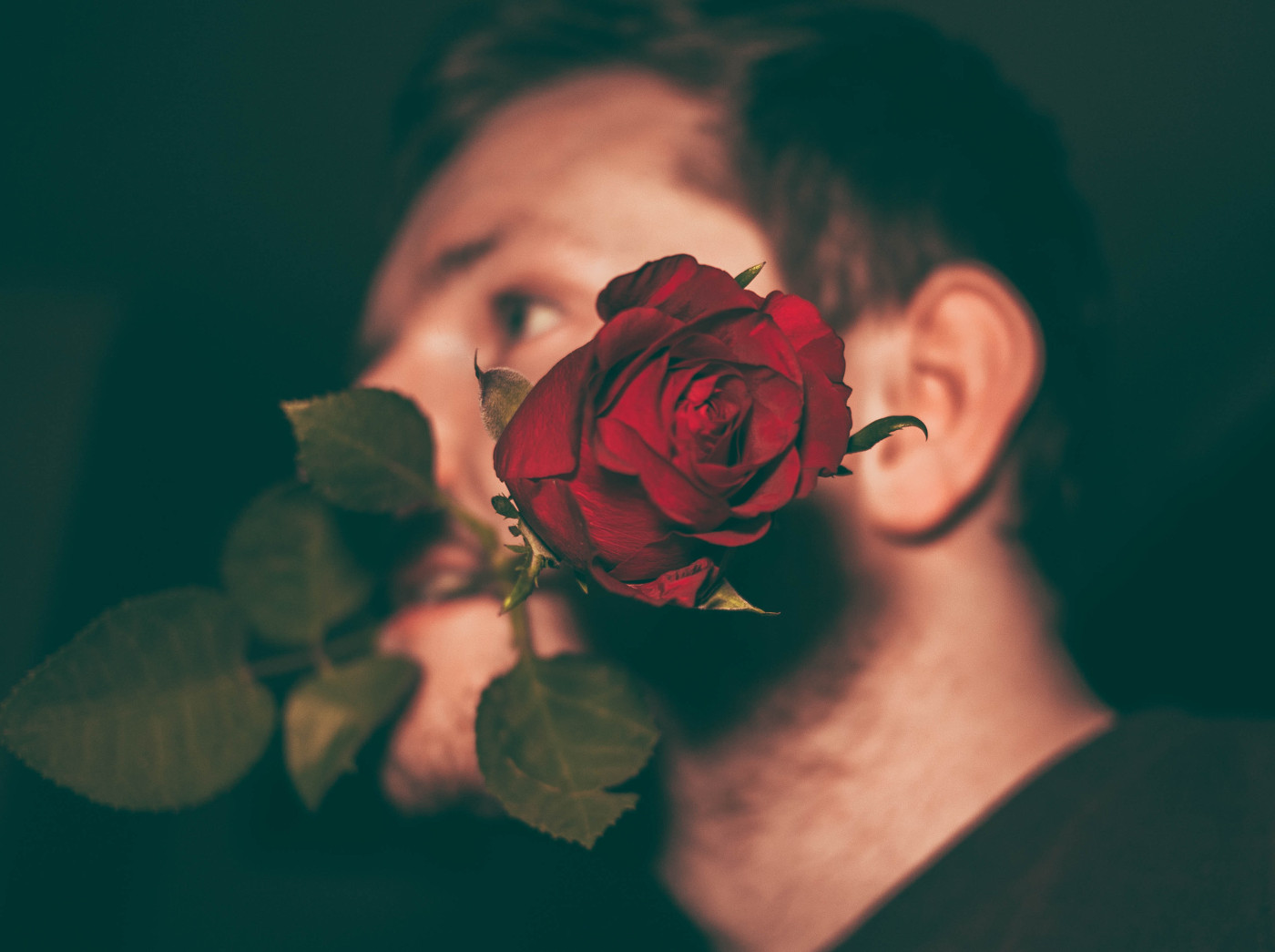 Vereinzelung und die Sehnsucht nach Nähe und Bindung: Im Hintergrund ist der Kopf eines Mannes von der Seite zu sehen. Quer im Mund hat er den Stiel einer Rose, deren Blüte zentral im Bild im Vordergrund zur Kamera schaut.